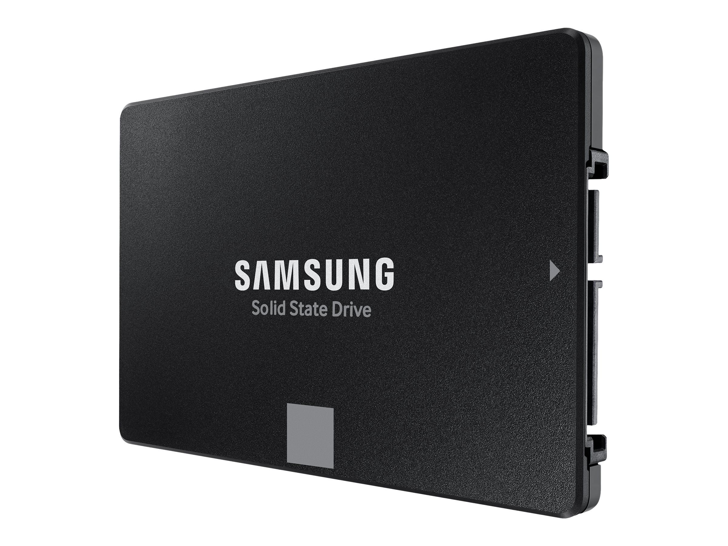 870 EVO MZ-77E1T0B - 1 TB SSD - intern - 2.5" (6.4 cm)