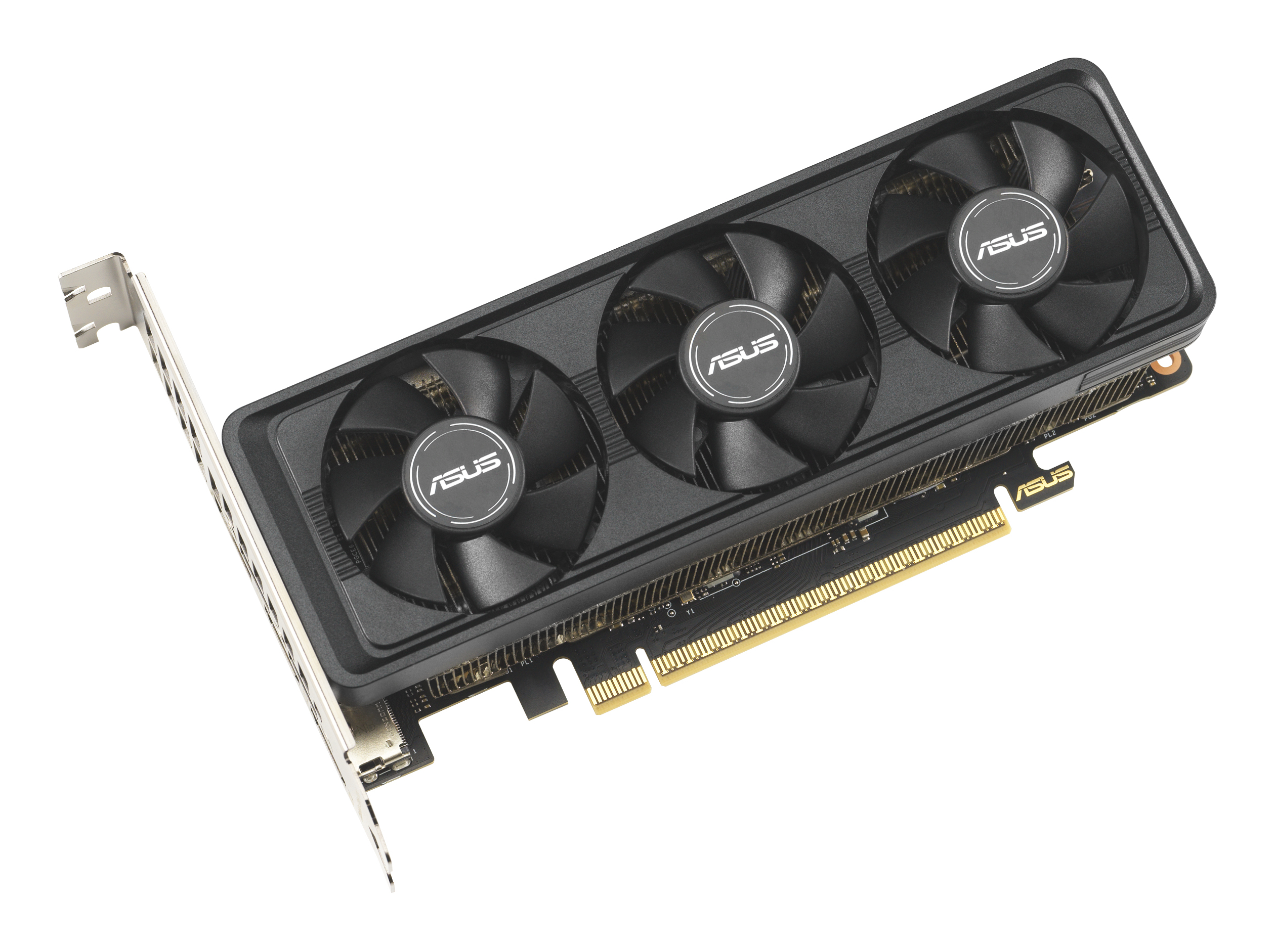 RTX5060-O8G-LP-BRK 8GB GDDR7 HDMI DP