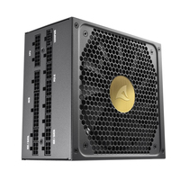 Rebel P30 Gold 1300W ATX 3.0 Netzteil Modular 80+ Gold