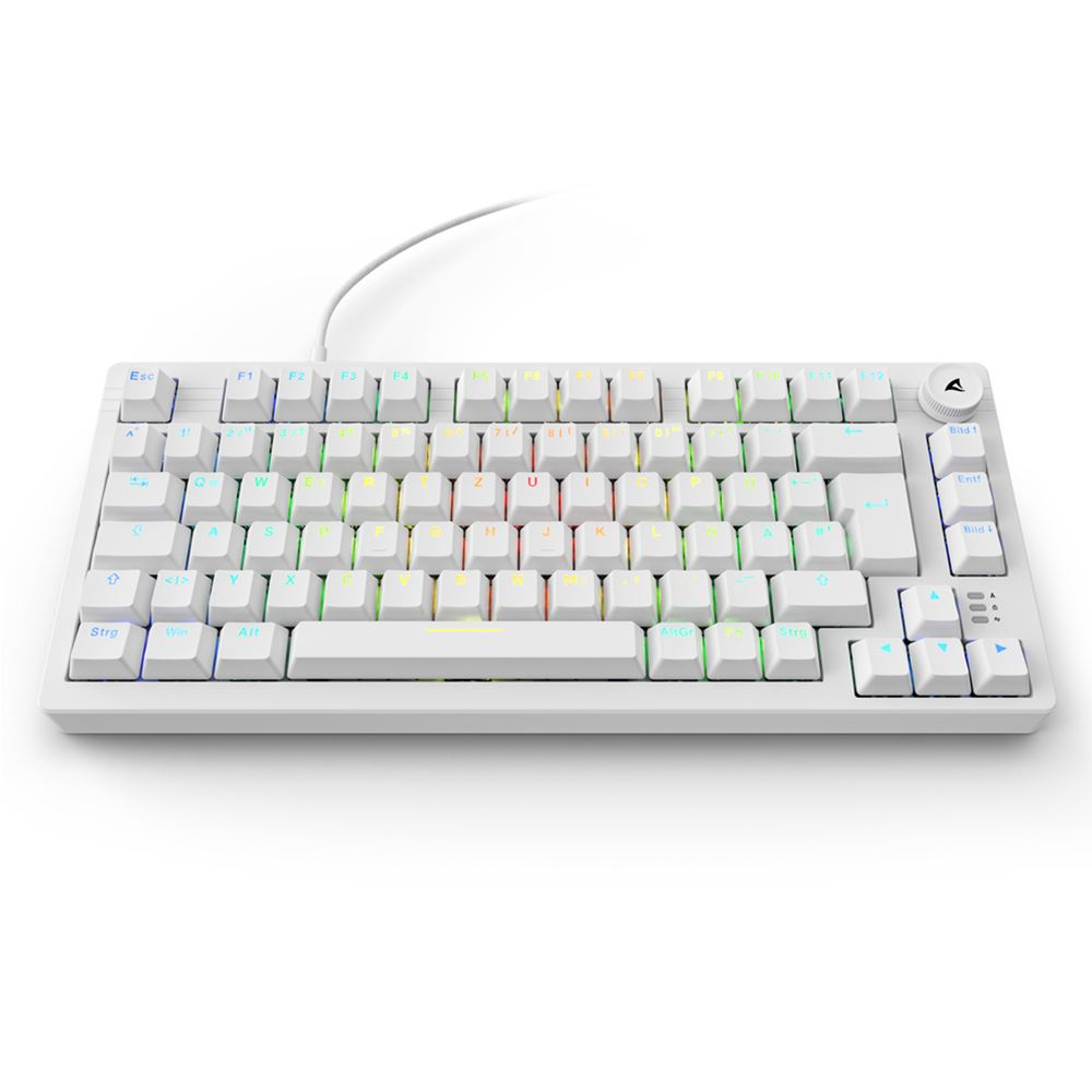 Gaming Tastatur Skiller SGK25 weiß DE
